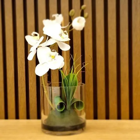 Na Vodi - Bw Aurora Luxury Belgrado